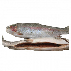 Рыба Форель потрошеная с/г замороженная за 1 кг [ ]